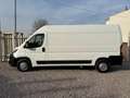 Fiat Ducato Peugeot Boxer BlueHDi 130CV L3H2 Blanc - thumbnail 3