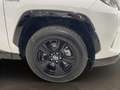 Toyota RAV 4 RAV4 RAV4 2.5l 220H Business 4WD Blanc - thumbnail 10