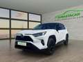 Toyota RAV 4 RAV4 RAV4 2.5l 220H Business 4WD Blanc - thumbnail 1