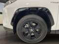 Toyota RAV 4 RAV4 RAV4 2.5l 220H Business 4WD Blanc - thumbnail 9