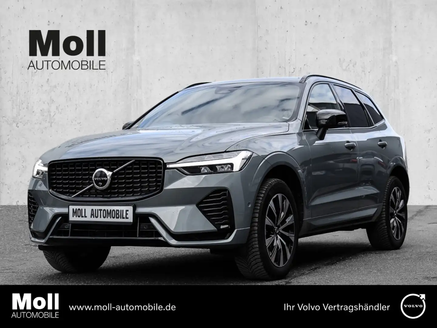 Volvo XC60 Plus Dark AWD B5 Benzin EU6d Allrad Leder digitale Grau - 1