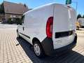 Fiat Doblo SX Kasten Weiß - thumbnail 4