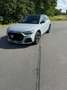 Audi A1 35 TFSI citycarver S tronic Edition one B&O - thumbnail 2
