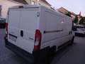 Peugeot Expert - thumbnail 4