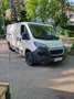 Peugeot Expert - thumbnail 1
