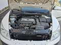 Skoda Octavia Octavia Combi 1.8 TSI Executive Executive Blanco - thumbnail 4