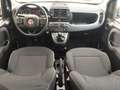 Fiat Panda Panda 1.0 hybrid Cross 5posti Rosso - thumbnail 7
