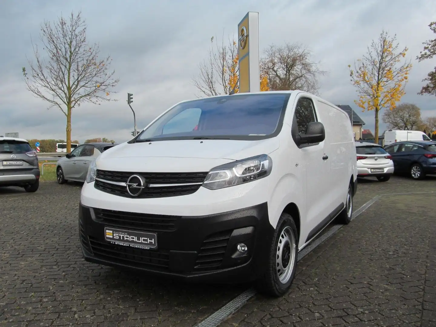 Opel Vivaro Cargo L 2.0D Blanc - 2