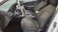Ford Focus Turnier 1.5 EcoBoost Active Weiß - thumbnail 6