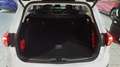 Ford Focus Turnier 1.5 EcoBoost Active Weiß - thumbnail 8