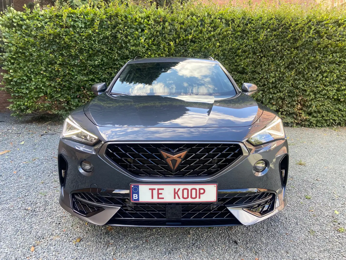 CUPRA Formentor 1.5 TSI DSG*Elek.Koffer*LED*Keyless*Camera*... Gris - 2