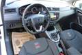 SEAT Arona FR 1.0 TSI 95 PS mit vielen Extras / 1. Besitz Weiß - thumbnail 13