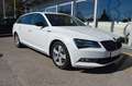 Skoda Superb Combi Sportline 2.0 TDI*NAVI*ACC*CAM*AHK* Weiß - thumbnail 15