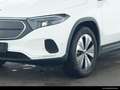 Mercedes-Benz EQA 250 EQA 250 PROGRESSIVE/KAMERA/MBUX/NAVI/EASY-PACK LED Weiß - thumbnail 3