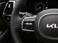 Kia Sorento 1.6T PHEV AWD Platinum Panorama ACC Grau - thumbnail 14