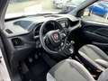Fiat Doblo Kombi SX 1.6 Multijet *Navi PDC NS Sitzh.* Blanco - thumbnail 10