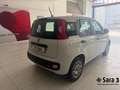 Fiat Panda Panda 1.2 EasyPower BEN/GPL Blanc - thumbnail 7