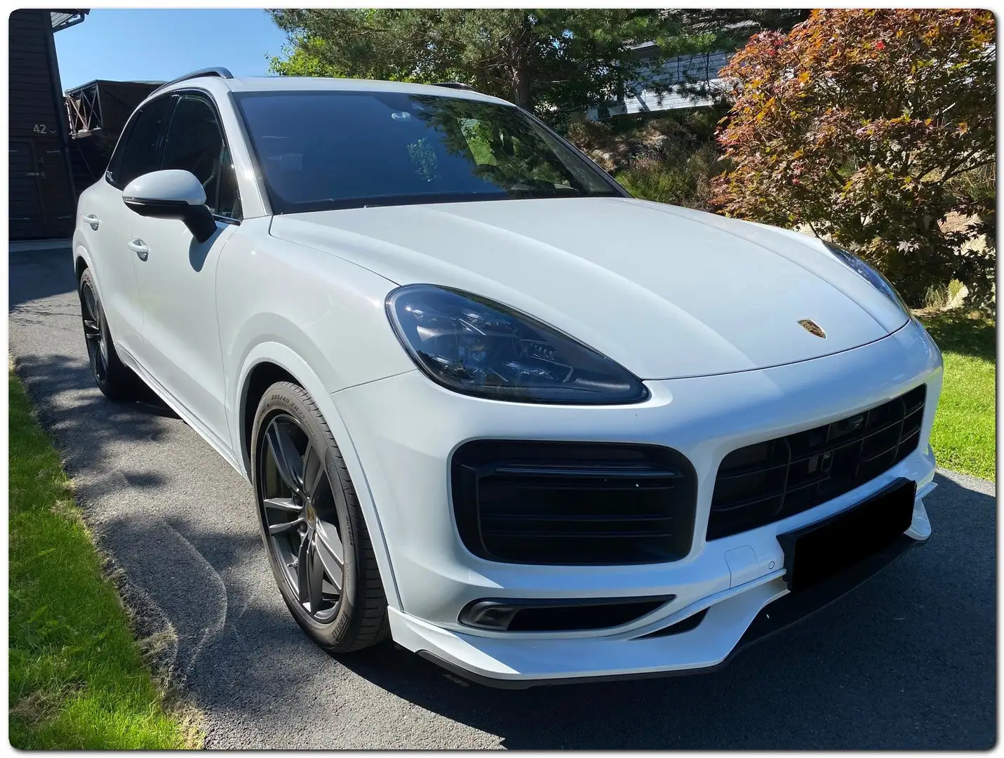 Porsche Cayenne 3.0 E-Hybrid 340 CV - 2
