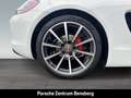 Porsche Boxster GTS (981) Weiß - thumbnail 12