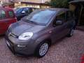 Fiat Panda Panda 2022 firefly hybrid NESSUN OBBLIGO Grau - thumbnail 2