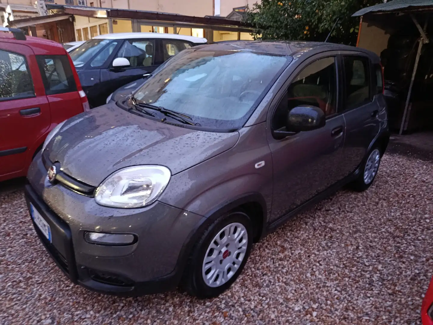 Fiat Panda Panda 2022 firefly hybrid NESSUN OBBLIGO Grau - 2