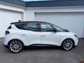 Renault Scenic Scenic BOSE 1,7DCI Blue *NEUWAGENZUSTAND* Weiß - thumbnail 5