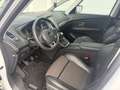 Renault Scenic Scenic BOSE 1,7DCI Blue *NEUWAGENZUSTAND* Weiß - thumbnail 9