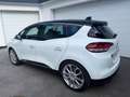 Renault Scenic Scenic BOSE 1,7DCI Blue *NEUWAGENZUSTAND* Weiß - thumbnail 4