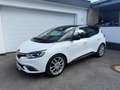 Renault Scenic Scenic BOSE 1,7DCI Blue *NEUWAGENZUSTAND* Weiß - thumbnail 2