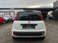 Fiat Panda 5-TÜRIG°KLIMA°ALLWETTER°ZR-GEWECHSELT! Blanc - thumbnail 8