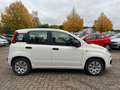 Fiat Panda 5-TÜRIG°KLIMA°ALLWETTER°ZR-GEWECHSELT! Blanc - thumbnail 5