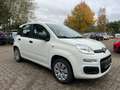 Fiat Panda 5-TÜRIG°KLIMA°ALLWETTER°ZR-GEWECHSELT! Blanc - thumbnail 3
