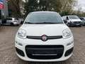 Fiat Panda 5-TÜRIG°KLIMA°ALLWETTER°ZR-GEWECHSELT! Blanc - thumbnail 2