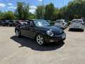Volkswagen Maggiolino Cabrio 2.0 tdi bm Sport 150cv Negru - thumbnail 7