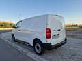 Citroen Jumpy Fg. Isotermo BlueHDI Talla M 120 Blanc - thumbnail 6