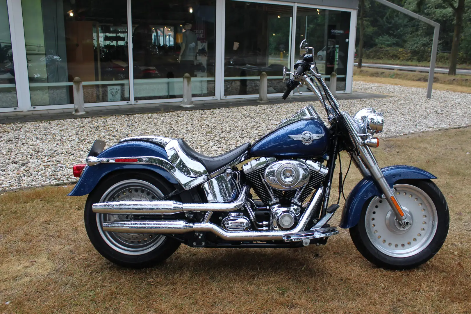 omvang Grondig bad Harley-Davidson Softail Chopper/Cruiser in Blauw gebruikt in VENLO voor €  9.950,-