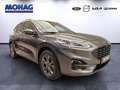 Ford Kuga 2.5l Plug-In Hybrid ST-Line X *BHZ-AußenSp*   -EU6 Gris - thumbnail 2