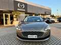 Ford Focus Focus 1.5 EcoBlue 120 CV SW Vignale Oro - thumbnail 2