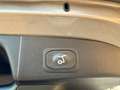Ford Focus Focus 1.5 EcoBlue 120 CV SW Vignale Oro - thumbnail 9