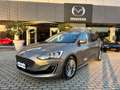 Ford Focus Focus 1.5 EcoBlue 120 CV SW Vignale Oro - thumbnail 1