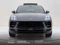 Porsche Macan 2.0 245cv pdk Tetto-Black pack-tagliandi Porsche Grijs - thumbnail 2