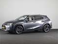 Lexus UX 250h Luxury Line *DEMO* | Ivoor Leder Interieur + Stoel Grijs - thumbnail 36