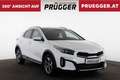 Kia XCeed 1.0 TGDI 48V MY26 Silber Automatik Weiß - thumbnail 4