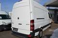 Mercedes-Benz Sprinter II Kasten 313 CDI Blanc - thumbnail 4