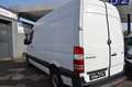 Mercedes-Benz Sprinter II Kasten 313 CDI Blanc - thumbnail 3