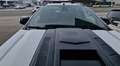 Ford Ranger Ranger Doppelkabine Wildtrak 4x4 3,2 TDCi Aut. Raptor Optik Weiß - thumbnail 24
