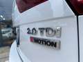 Volkswagen Tiguan 2.0 TDI SCR 4MOTION Style BlueMotion Technology Bianco - thumbnail 23