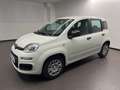 Fiat Panda NEW 1.0 HYBRID - thumbnail 1