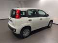 Fiat Panda NEW 1.0 HYBRID - thumbnail 3