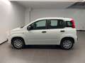 Fiat Panda NEW 1.0 HYBRID - thumbnail 12